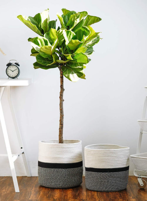 12"X12" Storage Basket Bin Organizer, Sturdy Indoor Floor Planter with Handle, Woven Baskets for up to 11" Flower Pot Plant, Flower, White Black Stripes